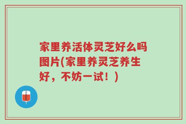 家里养活体灵芝好么吗图片(家里养灵芝养生好，不妨一试！)-第1张图片-超越