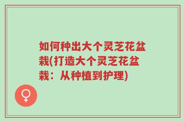 如何种出大个灵芝花盆栽(打造大个灵芝花盆栽:从种植到护理)-第1张图片-超越 如何种出大个灵芝花盆栽(打造大个灵芝花盆栽:从种植到护理)-第1张图片-超越