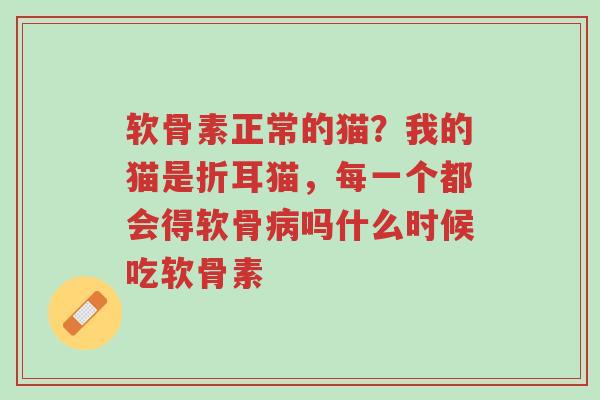 软骨素正常的猫?我的猫是折耳猫,每一个都会得软骨病吗什么时候吃软骨素-第1张图片-超越 软骨素正常的猫?我的猫是折耳猫,每一个都会得软骨病吗什么时候吃软骨素-第1张图片-超越