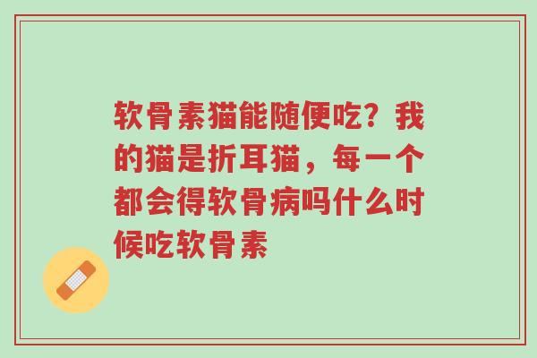 软骨素猫能随便吃?我的猫是折耳猫,每一个都会得软骨病吗什么时候吃软骨素-第1张图片-超越 软骨素猫能随便吃?我的猫是折耳猫,每一个都会得软骨病吗什么时候吃软骨素-第1张图片-超越