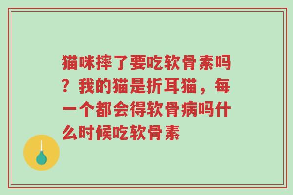 猫咪摔了要吃软骨素吗?我的猫是折耳猫,每一个都会得软骨病吗什么时候吃软骨素-第1张图片-超越 猫咪摔了要吃软骨素吗?我的猫是折耳猫,每一个都会得软骨病吗什么时候吃软骨素-第1张图片-超越
