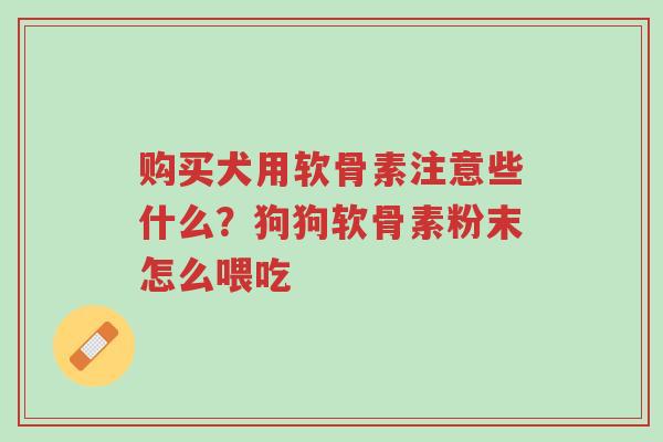 购买犬用软骨素注意些什么?狗狗软骨素粉末怎么喂吃-第1张图片-超越 购买犬用软骨素注意些什么?狗狗软骨素粉末怎么喂吃-第1张图片-超越