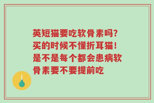 英短猫要吃软骨素吗?买的时候不懂折耳猫!是不是每个都会患病软骨素要不要提前吃-第1张图片-超越 英短猫要吃软骨素吗?买的时候不懂折耳猫!是不是每个都会患病软骨素要不要提前吃-第1张图片-超越