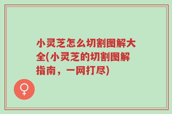 小灵芝怎么切割图解大全(小灵芝的切割图解指南,一网打尽)-第1张图片-超越 小灵芝怎么切割图解大全(小灵芝的切割图解指南,一网打尽)-第1张图片-超越