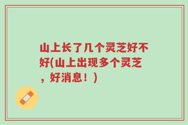 山上长了几个灵芝好不好(山上出现多个灵芝,好消息!)-第1张图片-超越 山上长了几个灵芝好不好(山上出现多个灵芝,好消息!)-第1张图片-超越