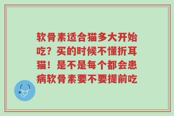 软骨素适合猫多大开始吃?买的时候不懂折耳猫!是不是每个都会患病软骨素要不要提前吃-第1张图片-超越 软骨素适合猫多大开始吃?买的时候不懂折耳猫!是不是每个都会患病软骨素要不要提前吃-第1张图片-超越
