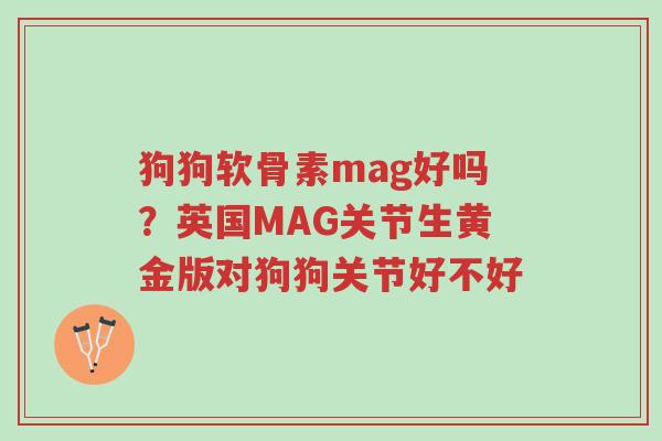 狗狗软骨素mag好吗?英国MAG关节生黄金版对狗狗关节好不好-第1张图片-超越 狗狗软骨素mag好吗?英国MAG关节生黄金版对狗狗关节好不好-第1张图片-超越