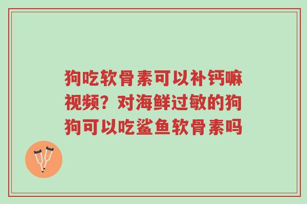 狗吃软骨素可以补钙嘛视频?对海鲜过敏的狗狗可以吃鲨鱼软骨素吗-第1张图片-超越 狗吃软骨素可以补钙嘛视频?对海鲜过敏的狗狗可以吃鲨鱼软骨素吗-第1张图片-超越