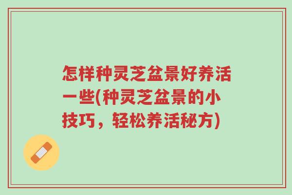 怎样种灵芝盆景好养活一些(种灵芝盆景的小技巧,轻松养活秘方)-第1张图片-超越 怎样种灵芝盆景好养活一些(种灵芝盆景的小技巧,轻松养活秘方)-第1张图片-超越