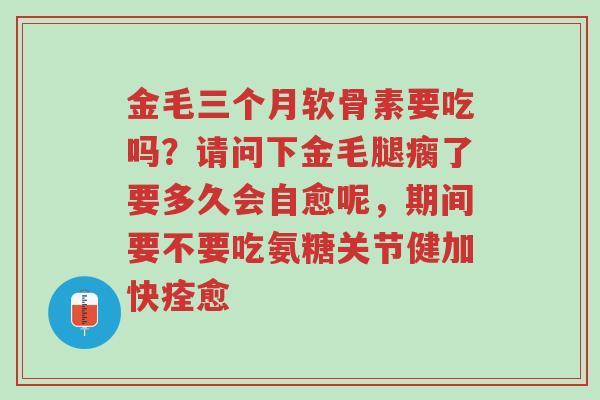 金毛三个月软骨素要吃吗？请问下金毛腿瘸了要多久会自愈呢，期间要不要吃氨糖关节健加快痊愈-第1张图片-超越