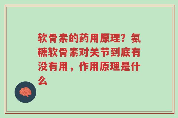 软骨素的药用原理?氨糖软骨素对关节到底有没有用,作用原理是什么-第1张图片-超越 软骨素的药用原理?氨糖软骨素对关节到底有没有用,作用原理是什么-第1张图片-超越