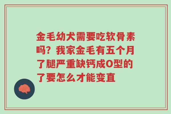 金毛幼犬需要吃软骨素吗?我家金毛有五个月了腿严重缺钙成O型的了要怎么才能变直-第1张图片-超越 金毛幼犬需要吃软骨素吗?我家金毛有五个月了腿严重缺钙成O型的了要怎么才能变直-第1张图片-超越