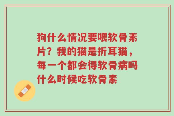 狗什么情况要喂软骨素片?我的猫是折耳猫,每一个都会得软骨病吗什么时候吃软骨素-第1张图片-超越 狗什么情况要喂软骨素片?我的猫是折耳猫,每一个都会得软骨病吗什么时候吃软骨素-第1张图片-超越