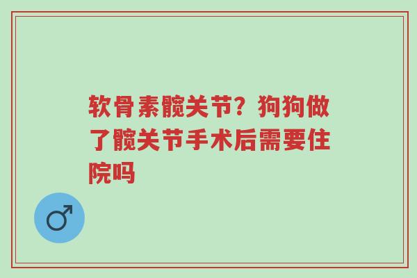软骨素髋关节?狗狗做了髋关节手术后需要住院吗-第1张图片-超越 软骨素髋关节?狗狗做了髋关节手术后需要住院吗-第1张图片-超越