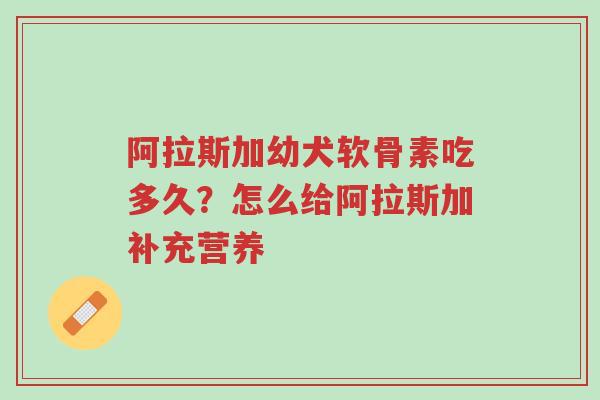 阿拉斯加幼犬软骨素吃多久?怎么给阿拉斯加补充营养-第1张图片-超越 阿拉斯加幼犬软骨素吃多久?怎么给阿拉斯加补充营养-第1张图片-超越