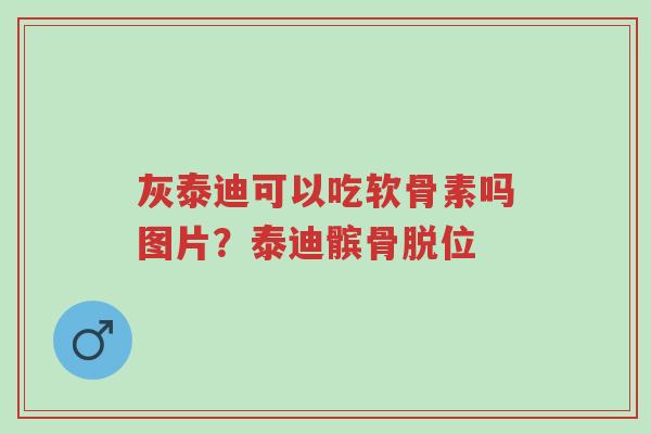 灰泰迪可以吃软骨素吗图片？泰迪髌骨脱位-第1张图片-超越