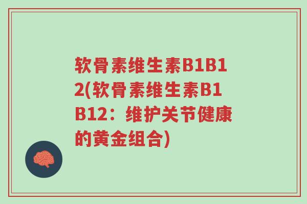 软骨素维生素B1B12(软骨素维生素B1B12:维护关节健康的黄金组合)-第1张图片-超越 软骨素维生素B1B12(软骨素维生素B1B12:维护关节健康的黄金组合)-第1张图片-超越