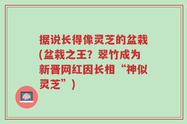 据说长得像灵芝的盆栽(盆栽之王?翠竹成为新晋网红因长相“神似灵芝”)-第1张图片-超越 据说长得像灵芝的盆栽(盆栽之王?翠竹成为新晋网红因长相“神似灵芝”)-第1张图片-超越