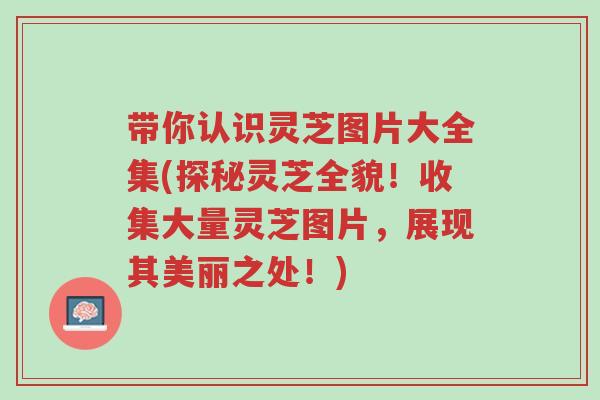 带你认识灵芝图片大全集(探秘灵芝全貌!收集大量灵芝图片,展现其美丽之处!)-第1张图片-超越 带你认识灵芝图片大全集(探秘灵芝全貌!收集大量灵芝图片,展现其美丽之处!)-第1张图片-超越