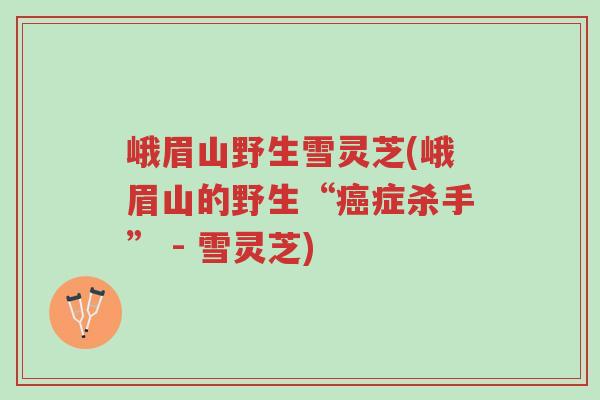 峨眉山野生雪灵芝(峨眉山的野生“癌症杀手” - 雪灵芝)-第1张图片-超越 峨眉山野生雪灵芝(峨眉山的野生“癌症杀手” - 雪灵芝)-第1张图片-超越