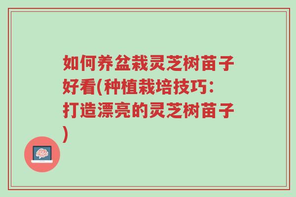 如何养盆栽灵芝树苗子好看(种植栽培技巧:打造漂亮的灵芝树苗子)-第1张图片-超越 如何养盆栽灵芝树苗子好看(种植栽培技巧:打造漂亮的灵芝树苗子)-第1张图片-超越