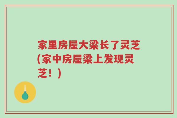 家里房屋大梁长了灵芝(家中房屋梁上发现灵芝!)-第1张图片-超越 家里房屋大梁长了灵芝(家中房屋梁上发现灵芝!)-第1张图片-超越