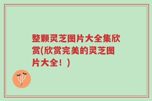整颗灵芝图片大全集欣赏(欣赏完美的灵芝图片大全!)-第1张图片-超越 整颗灵芝图片大全集欣赏(欣赏完美的灵芝图片大全!)-第1张图片-超越