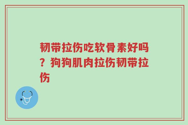 韧带拉伤吃软骨素好吗?狗狗肌肉拉伤韧带拉伤-第1张图片-超越 韧带拉伤吃软骨素好吗?狗狗肌肉拉伤韧带拉伤-第1张图片-超越