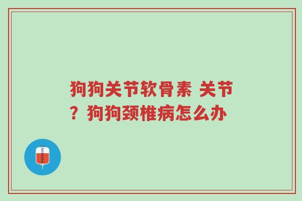 狗狗关节软骨素 关节?狗狗颈椎病怎么办-第1张图片-超越 狗狗关节软骨素 关节?狗狗颈椎病怎么办-第1张图片-超越