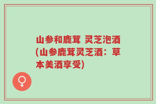 山参和鹿茸 灵芝泡酒(山参鹿茸灵芝酒：草本美酒享受)-第1张图片-超越