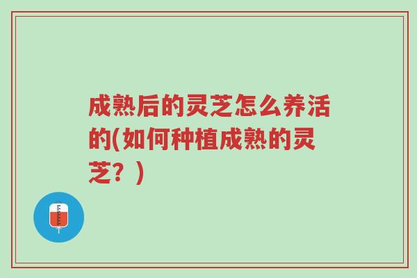 成熟后的灵芝怎么养活的(如何种植成熟的灵芝？)-第1张图片-超越