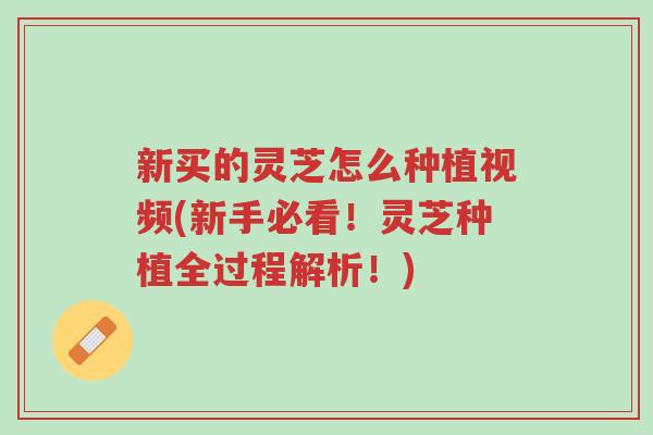 新买的灵芝怎么种植视频(新手必看！灵芝种植全过程解析！)-第1张图片-超越