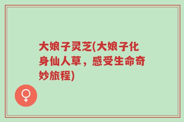 大娘子灵芝(大娘子化身仙人草,感受生命奇妙旅程)-第1张图片-超越 大娘子灵芝(大娘子化身仙人草,感受生命奇妙旅程)-第1张图片-超越