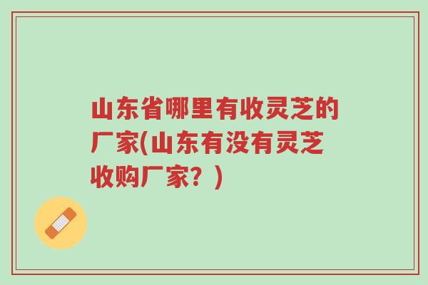 山东省哪里有收灵芝的厂家(山东有没有灵芝收购厂家?)-第1张图片-超越 山东省哪里有收灵芝的厂家(山东有没有灵芝收购厂家?)-第1张图片-超越