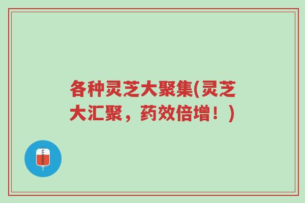各种灵芝大聚集(灵芝大汇聚,药效倍增!)-第1张图片-超越 各种灵芝大聚集(灵芝大汇聚,药效倍增!)-第1张图片-超越