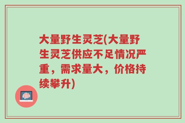 大量野生灵芝(大量野生灵芝供应不足情况严重,需求量大,价格持续攀升)-第1张图片-超越 大量野生灵芝(大量野生灵芝供应不足情况严重,需求量大,价格持续攀升)-第1张图片-超越