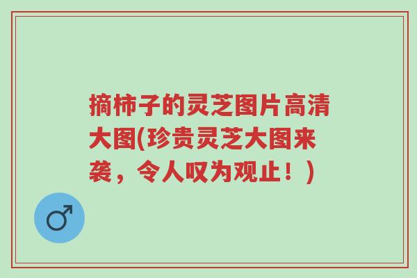 摘柿子的灵芝图片高清大图(珍贵灵芝大图来袭，令人叹为观止！)-第1张图片-超越