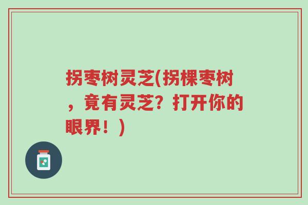 拐枣树灵芝(拐棵枣树,竟有灵芝?打开你的眼界!)-第1张图片-超越 拐枣树灵芝(拐棵枣树,竟有灵芝?打开你的眼界!)-第1张图片-超越