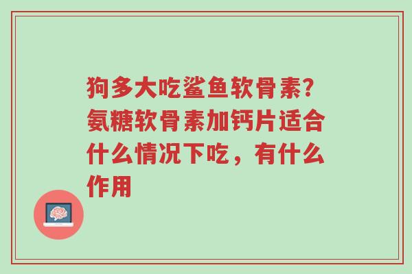 狗多大吃鲨鱼软骨素?氨糖软骨素加钙片适合什么情况下吃,有什么作用-第1张图片-超越 狗多大吃鲨鱼软骨素?氨糖软骨素加钙片适合什么情况下吃,有什么作用-第1张图片-超越