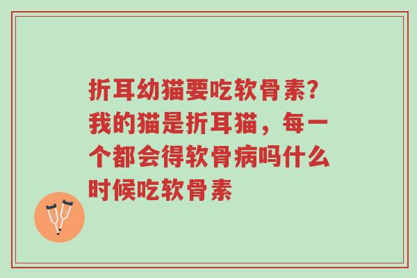 折耳幼猫要吃软骨素?我的猫是折耳猫,每一个都会得软骨病吗什么时候吃软骨素-第1张图片-超越 折耳幼猫要吃软骨素?我的猫是折耳猫,每一个都会得软骨病吗什么时候吃软骨素-第1张图片-超越