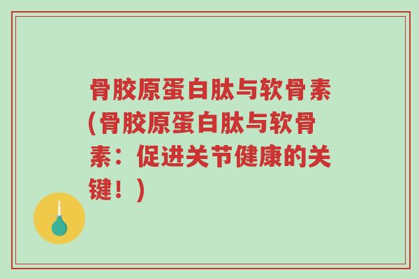 骨胶原蛋白肽与软骨素(骨胶原蛋白肽与软骨素:促进关节健康的关键!)-第1张图片-超越 骨胶原蛋白肽与软骨素(骨胶原蛋白肽与软骨素:促进关节健康的关键!)-第1张图片-超越