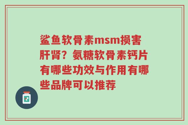 鲨鱼软骨素msm损害肝肾?氨糖软骨素钙片有哪些功效与作用有哪些品牌可以推荐-第1张图片-超越 鲨鱼软骨素msm损害肝肾?氨糖软骨素钙片有哪些功效与作用有哪些品牌可以推荐-第1张图片-超越
