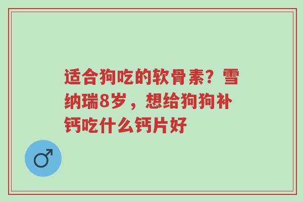 适合狗吃的软骨素?雪纳瑞8岁,想给狗狗补钙吃什么钙片好-第1张图片-超越 适合狗吃的软骨素?雪纳瑞8岁,想给狗狗补钙吃什么钙片好-第1张图片-超越