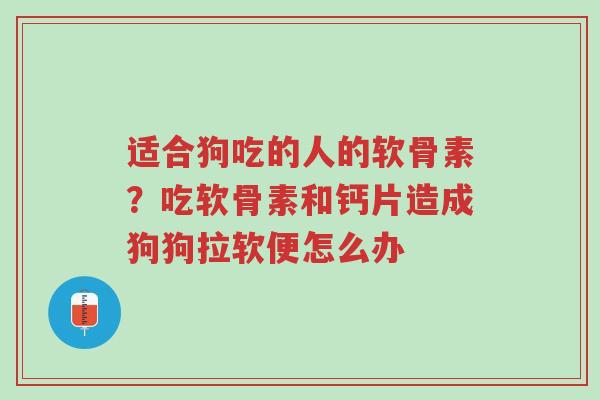 适合狗吃的人的软骨素?吃软骨素和钙片造成狗狗拉软便怎么办-第1张图片-超越 适合狗吃的人的软骨素?吃软骨素和钙片造成狗狗拉软便怎么办-第1张图片-超越