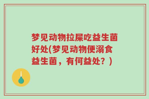 梦见动物拉屎吃益生菌好处(梦见动物便溺食益生菌,有何益处?)-第1张图片-超越 梦见动物拉屎吃益生菌好处(梦见动物便溺食益生菌,有何益处?)-第1张图片-超越