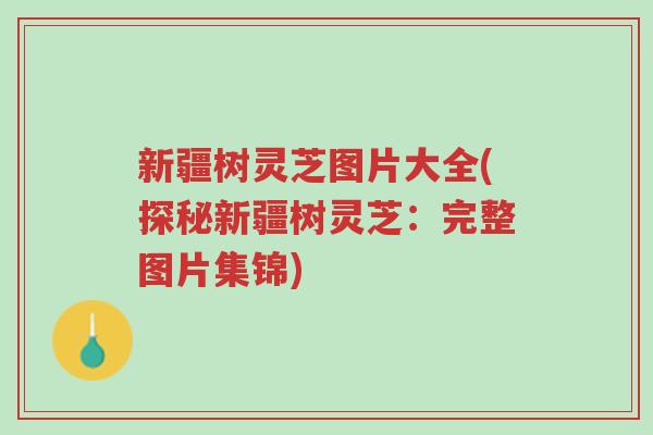 新疆树灵芝图片大全(探秘新疆树灵芝:完整图片集锦)-第1张图片-超越 新疆树灵芝图片大全(探秘新疆树灵芝:完整图片集锦)-第1张图片-超越