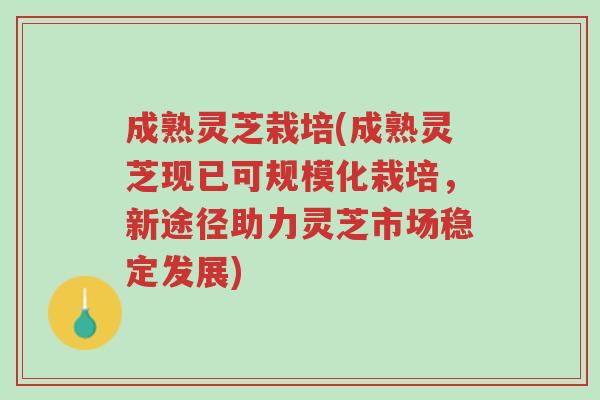 成熟灵芝栽培(成熟灵芝现已可规模化栽培,新途径助力灵芝市场稳定发展)-第1张图片-超越 成熟灵芝栽培(成熟灵芝现已可规模化栽培,新途径助力灵芝市场稳定发展)-第1张图片-超越