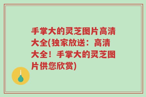 手掌大的灵芝图片高清大全(独家放送:高清大全!手掌大的灵芝图片供您欣赏)-第1张图片-超越 手掌大的灵芝图片高清大全(独家放送:高清大全!手掌大的灵芝图片供您欣赏)-第1张图片-超越