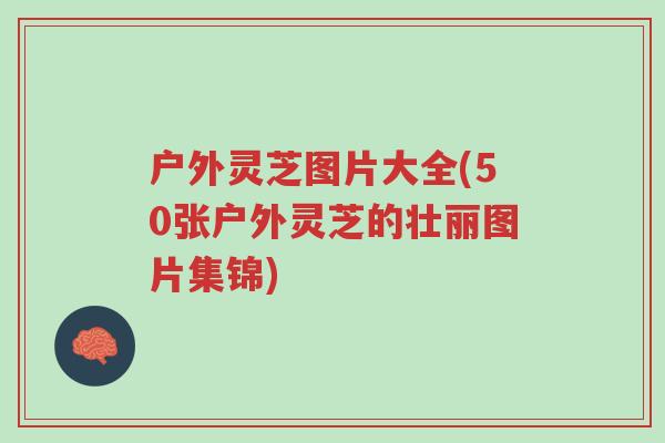 户外灵芝图片大全(50张户外灵芝的壮丽图片集锦)-第1张图片-超越