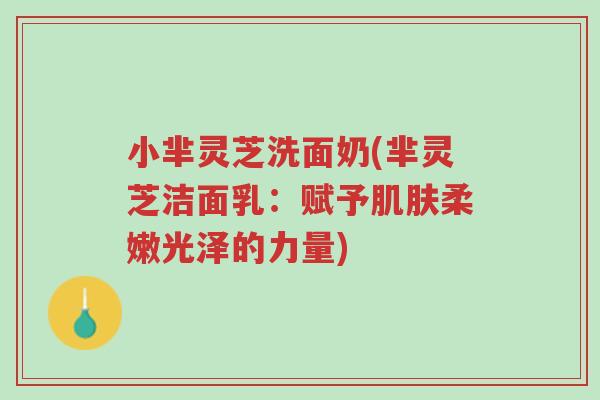 小芈灵芝洗面奶(芈灵芝洁面乳:赋予肌肤柔嫩光泽的力量)-第1张图片-超越 小芈灵芝洗面奶(芈灵芝洁面乳:赋予肌肤柔嫩光泽的力量)-第1张图片-超越